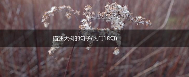 描述大树的句子(热门18句),第1张