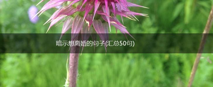 暗示想离婚的句子(汇总50句),第1张