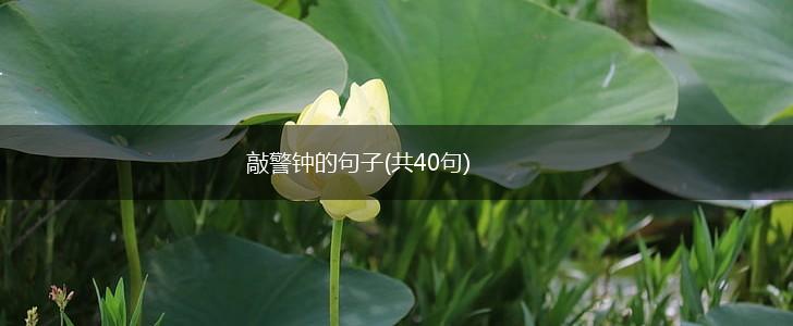 敲警钟的句子(共40句),第1张