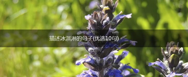 描述冰淇淋的句子(优选10句),第1张
