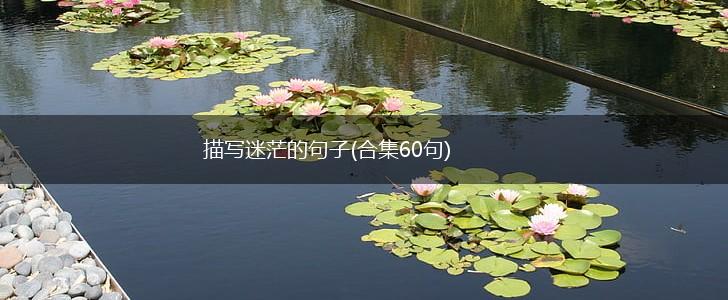 描写迷茫的句子(合集60句),第1张