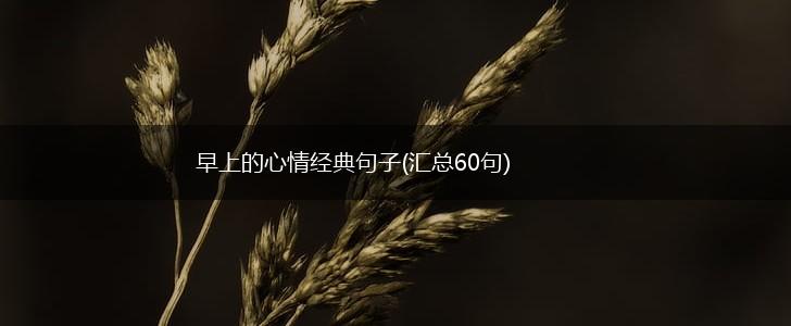 早上的心情经典句子(汇总60句),第1张