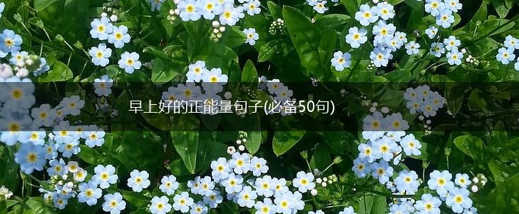 早上好的正能量句子(必备50句),第1张