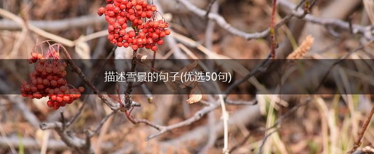 描述雪景的句子(优选50句),第1张