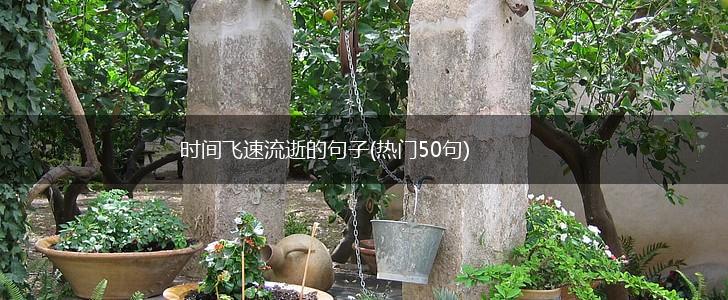 时间飞速流逝的句子(热门50句),第1张