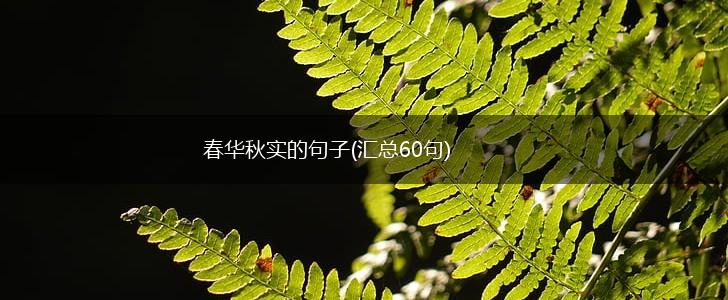 春华秋实的句子(汇总60句),第1张