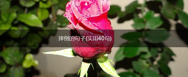 摔倒的句子(实用40句),第1张