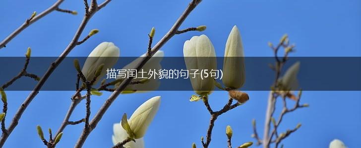 描写闰土外貌的句子(5句),第1张
