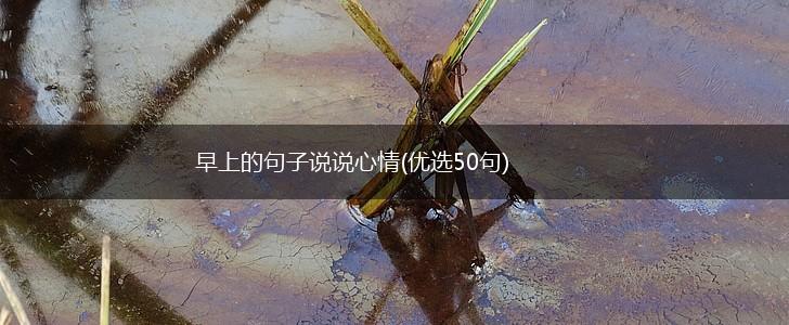 早上的句子说说心情(优选50句),第1张