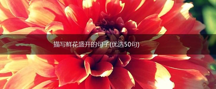 描写鲜花盛开的句子(优选50句),第1张