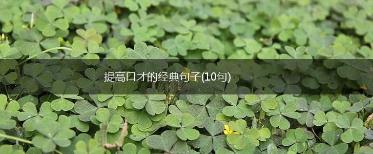 提高口才的经典句子(10句),第1张
