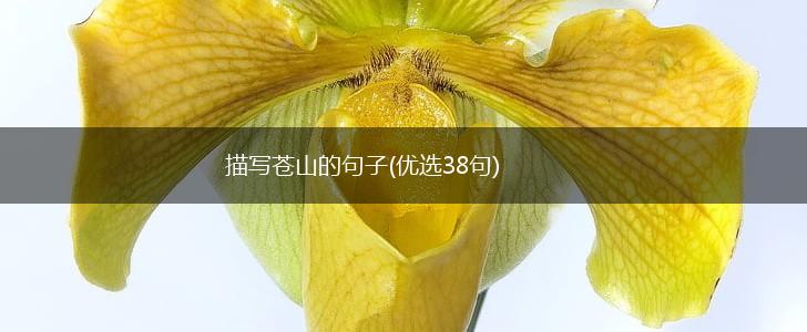 描写苍山的句子(优选38句),第1张