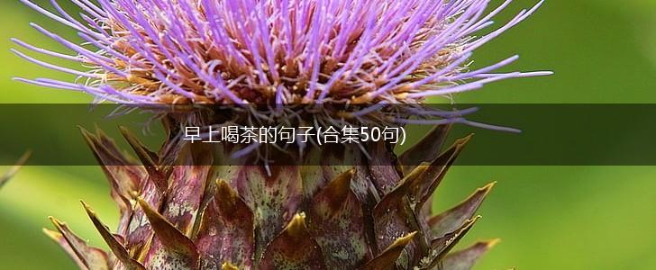 早上喝茶的句子(合集50句),第1张