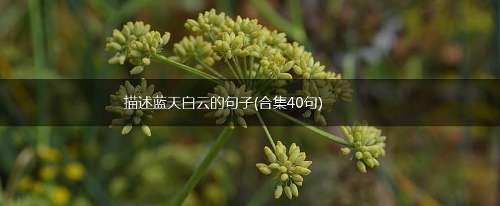 描述蓝天白云的句子(合集40句),第1张