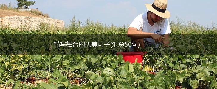 描写舞台的优美句子(汇总50句),第1张