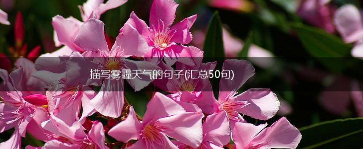 描写雾霾天气的句子(汇总50句),第1张