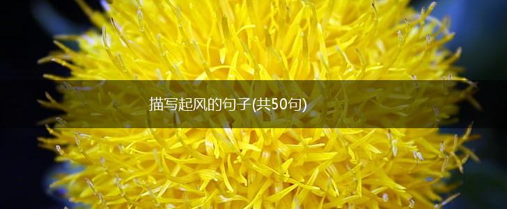 描写起风的句子(共50句),第1张