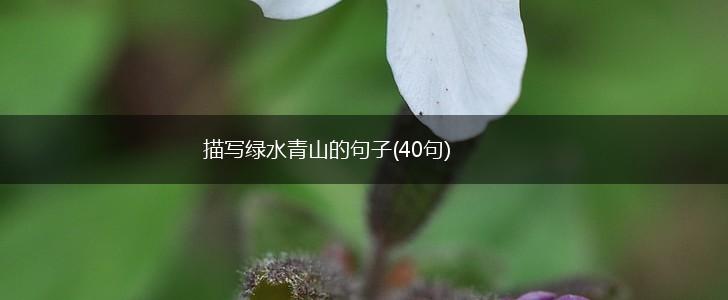 描写绿水青山的句子(40句),第1张
