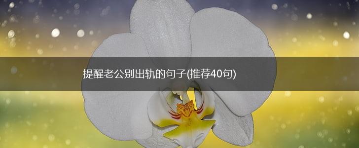 提醒老公别出轨的句子(推荐40句),第1张