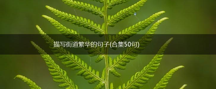 描写街道繁华的句子(合集50句),第1张