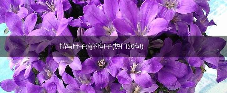 描写肚子痛的句子(热门50句),第1张