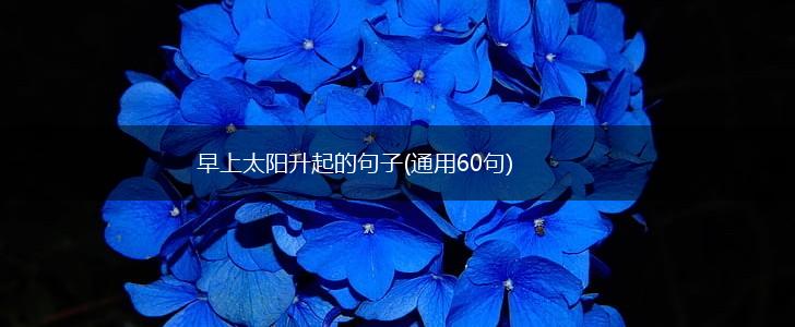 早上太阳升起的句子(通用60句),第1张