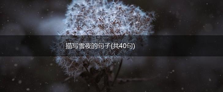 描写雪夜的句子(共40句),第1张