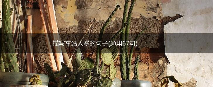 描写车站人多的句子(通用67句),第1张
