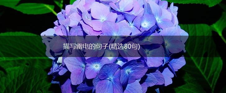 描写雷电的句子(精选80句),第1张