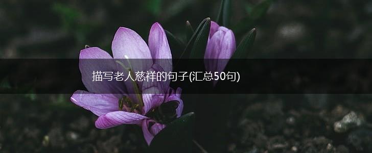 描写老人慈祥的句子(汇总50句),第1张