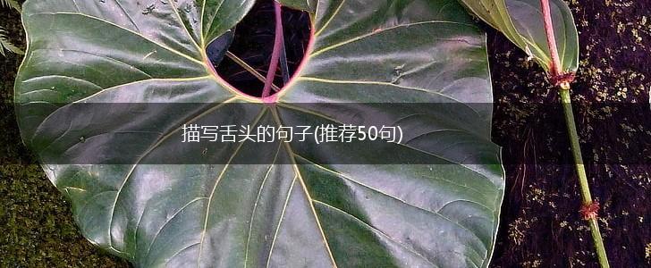 描写舌头的句子(推荐50句),第1张