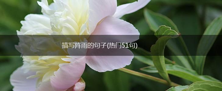 描写阵雨的句子(热门51句),第1张