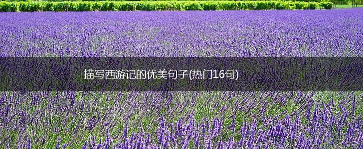 描写西游记的优美句子(热门16句),第1张