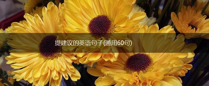 提建议的英语句子(通用60句),第1张