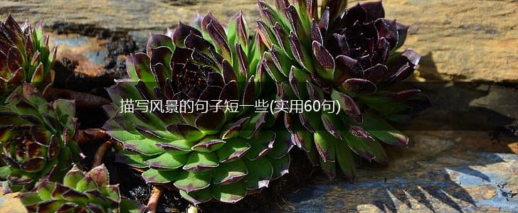描写风景的句子短一些(实用60句),第1张