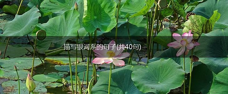 描写银河系的句子(共40句),第1张
