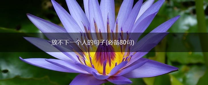 放不下一个人的句子(必备80句),第1张