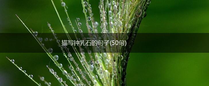 描写钟乳石的句子(50句),第1张