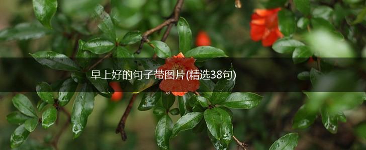 早上好的句子带图片(精选38句),第1张
