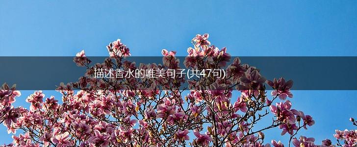描述香水的唯美句子(共47句),第1张