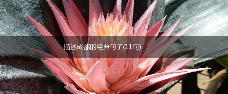 描述成都的经典句子(11句),第1张