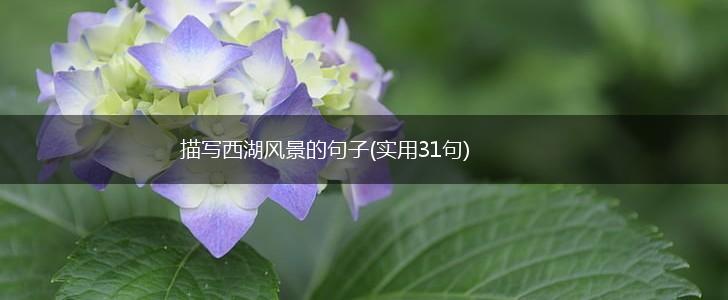 描写西湖风景的句子(实用31句),第1张
