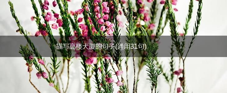 描写高楼大厦的句子(通用31句),第1张