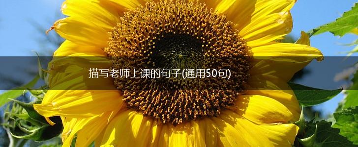 描写老师上课的句子(通用50句),第1张