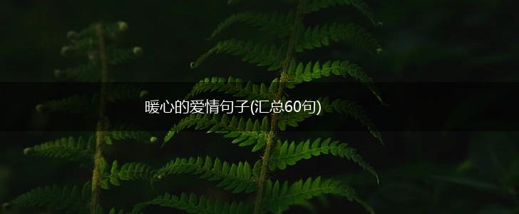 暖心的爱情句子(汇总60句),第1张