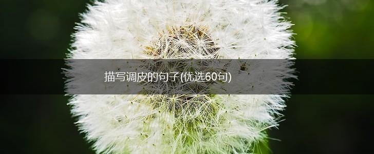 描写调皮的句子(优选60句),第1张