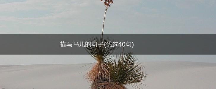 描写马儿的句子(优选40句),第1张