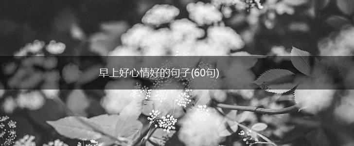早上好心情好的句子(60句),第1张
