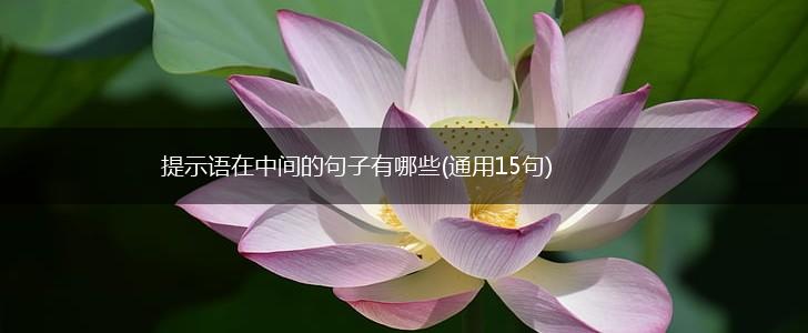 提示语在中间的句子有哪些(通用15句),第1张