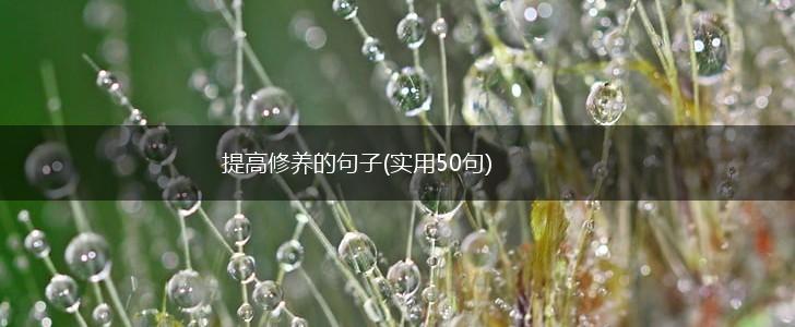 提高修养的句子(实用50句),第1张